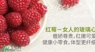 刺泡的熱量 刺泡可以減肥嗎？