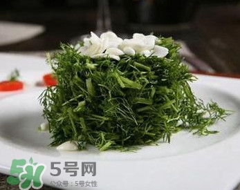 茴香菜怎么做好吃？茴香菜怎么炒好吃