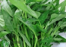 空心菜怎么洗干凈?空心菜的清洗方法 空心菜怎么洗干凈?空心菜的清洗方法