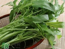 空心菜怎么洗干凈?空心菜的清洗方法 空心菜怎么洗干凈?空心菜的清洗方法