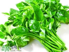 空心菜不能和什么一起吃?空心菜和什么食物相克? 空心菜不能和什么一起吃?空心菜和什么食物相克?