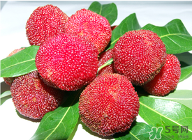 五月份有楊梅嗎？五月份的楊梅能吃嗎？