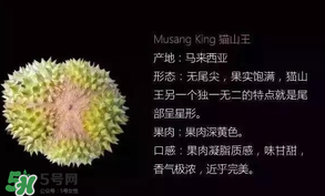 金枕頭和貓山王哪個(gè)好？金枕頭和貓山王的區(qū)別