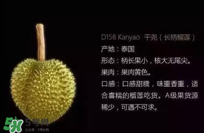 金枕頭和貓山王哪個(gè)好？金枕頭和貓山王的區(qū)別