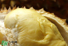 金枕頭榴蓮幾月份上市？金枕頭榴蓮什么時候上市？