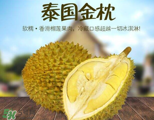 金枕頭榴蓮怎么才算熟？金枕頭榴蓮怎么催熟？