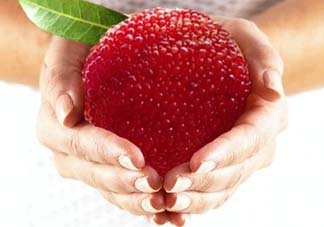 小滿吃什么水果？小滿吃哪些水果好？