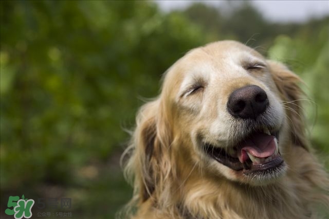 笑氣是什么？笑氣是毒品嗎？