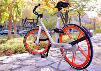 Ostelin和ddrops哪個(gè)好？Ostelin和ddrops的特點(diǎn)是什么？