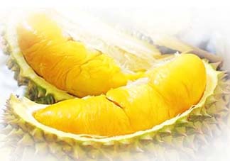 金枕頭榴蓮怎么才算熟？金枕頭榴蓮怎么催熟？