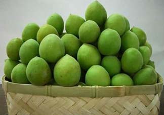 青梅果有什么好處？青梅果的功效與作用