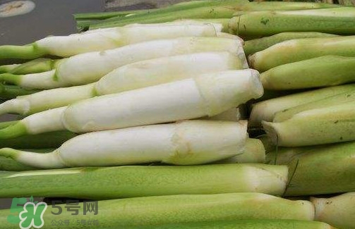 茭白是筍嗎？茭白是高筍嗎