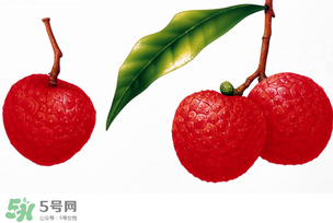拉肚子能吃荔枝嗎 ？拉肚子可以吃荔枝嗎 ？