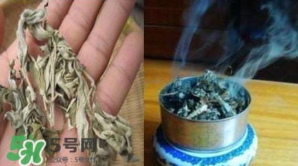 艾葉可以驅(qū)蚊子嗎？艾葉能驅(qū)蚊子嗎