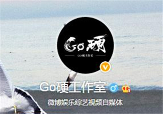 go硬工作室和卓偉有什么關(guān)系？go硬工作室是卓偉前員工成立的？