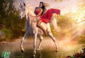 lime crime獨(dú)角獸眼影多少錢(qián)？獨(dú)角獸眼影專(zhuān)柜價(jià)格