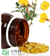 男人可以吃見月草膠囊嗎？見月草膠囊適不適合男性？