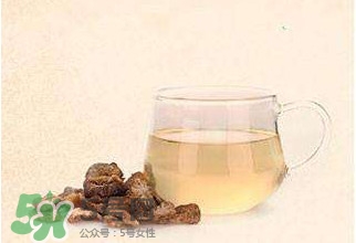 肉蓯蓉可以用白開水泡著喝嗎？肉蓯蓉泡水喝步驟