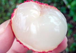 吃荔枝被酒駕怎么辦？吃荔枝酒駕是真的嗎？