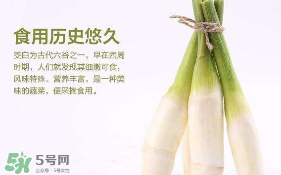 茭白是發(fā)物嗎？茭白是不是發(fā)物