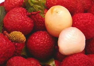 掛綠荔枝為什么那么貴？為什么掛綠荔枝這么貴？