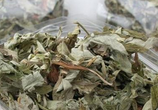 艾葉怎么做枕頭？自制艾葉怎么做枕頭