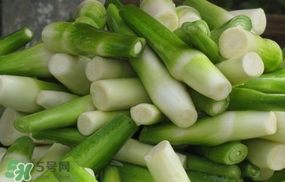 茭白是什么菜？茭白是什么植物
