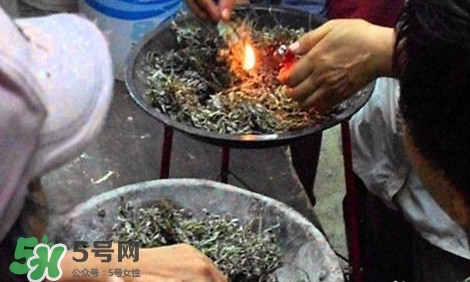 艾葉可以驅(qū)蚊子嗎？艾葉能驅(qū)蚊子嗎