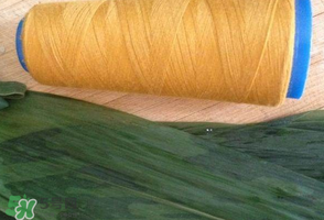 紅棗粽子怎么做好吃？紅棗粽子的做法步驟圖解