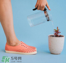 native鞋中文名稱是什么？native鞋中文怎么翻譯？