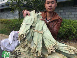 干粽葉怎么煮？干粽葉煮多久？