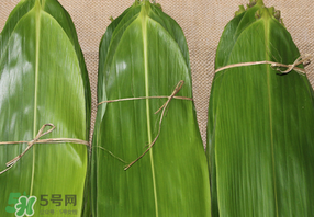 干粽葉要煮嗎？干粽葉到底是泡好還是煮好？