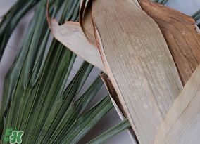 干粽葉要煮嗎？干粽葉到底是泡好還是煮好？