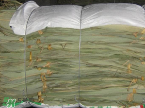 干粽葉怎么保存？干粽葉可以放冰箱嗎？