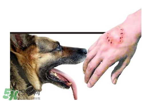 狂犬病能治好嗎？狂犬病的早期癥狀