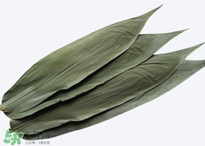 粽子葉怎么保存？粽葉怎么保存？