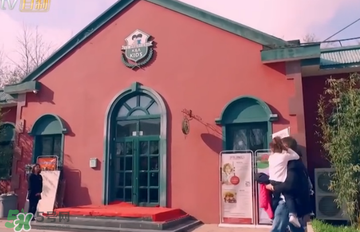 米雅上的幼兒園是哪一家？卡爾安娜國際兒童會館怎么樣？