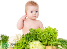 夏季寶寶飲食原則是什么？夏季寶寶吃什么好？