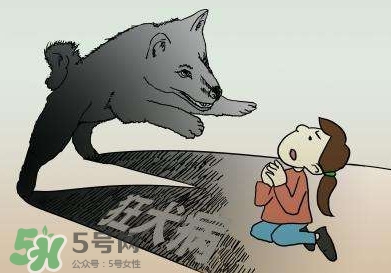 狂犬病會(huì)傳染嗎？狂犬病會(huì)學(xué)狗叫嗎