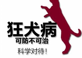 狂犬病會(huì)傳染嗎？狂犬病會(huì)學(xué)狗叫嗎