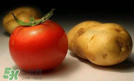西紅柿能和土豆一起吃嗎？土豆可以和西紅柿一起吃嗎