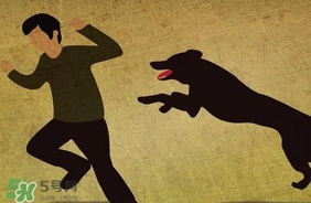 狂犬病疫苗什么時(shí)候打？狂犬病潛伏期最長(zhǎng)多久