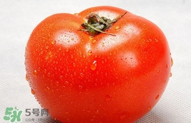 西紅柿能放冰箱冷藏嗎？西紅柿可以放冰箱保鮮嗎