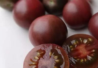 黑番茄是轉(zhuǎn)基因嗎？黑番茄是轉(zhuǎn)基因食品嗎