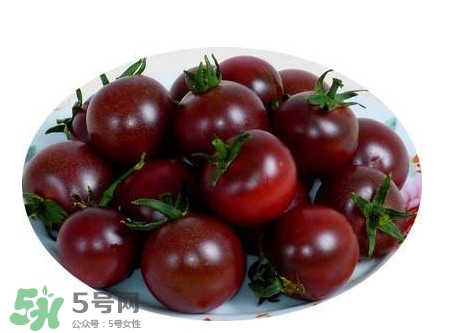 黑番茄怎么種植？黑番茄種植技術