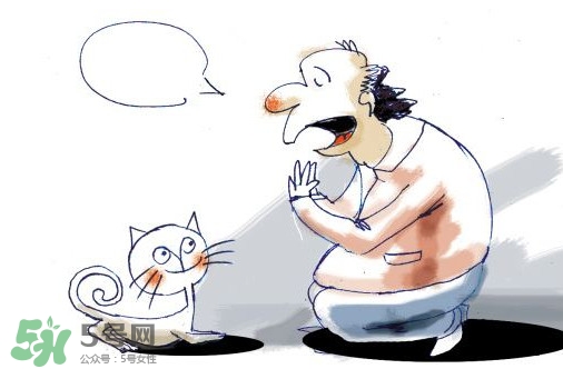 被貓抓傷會(huì)得狂犬病嗎？被貓咬了會(huì)得狂犬病嗎