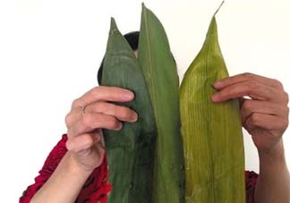 干粽葉怎么煮？干粽葉煮多久？