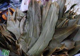 粽子葉可以反復(fù)用嗎？粽葉可以反復(fù)用嗎？