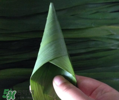 粽子葉能冷凍嗎？粽子葉放冰箱冷藏還是冷凍？