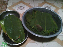 粽子葉怎么洗？粽葉怎么洗才干凈？